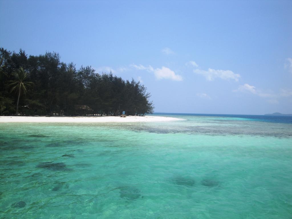 Menjangan Resort Karimunjawa Oda fotoğraf