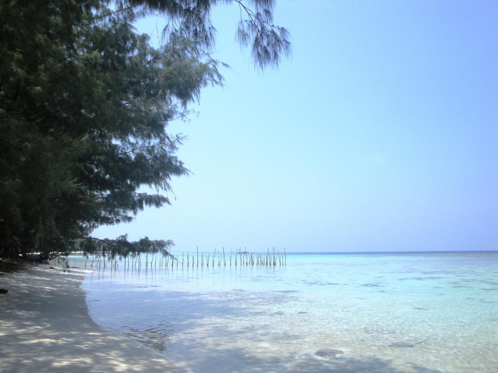Menjangan Resort Karimunjawa Oda fotoğraf